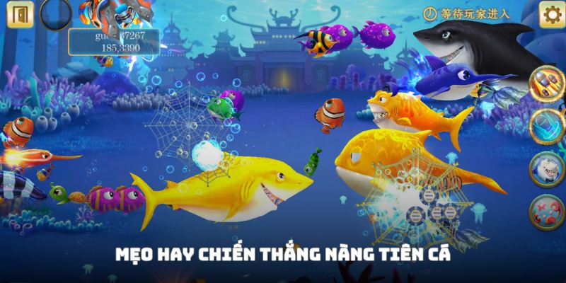 Tips hay được chia sẻ từ dân chuyên
