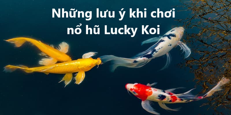 Ghi nhớ những lưu ý trên để chơi Koi Lucky hiệu quả hơn tại Hi88