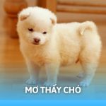 Mơ Thấy Chó Báo Điềm Gì? Giải Mã Ý Nghĩa Thường Gặp
