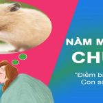 Mơ Thấy Chuột Là Điềm Báo Gì Và Con Số May Mắn Liên Quan